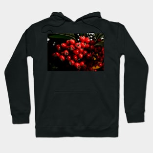 Red Berries Hoodie